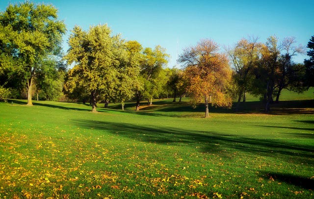 Five Lawn Maintenance Tips for Fall Sherman Oaks