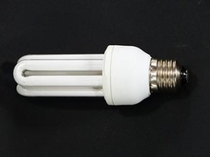 CFL Light Bulbs: Are they the Right Option for You? [city]