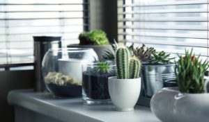 4 Ways That LED Lights Are Revolutionizing Indoor Gardening [city]