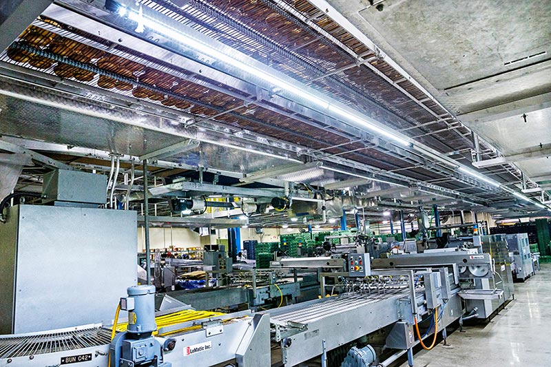 LED Lighting Plan for Commercial Food Processing [city]